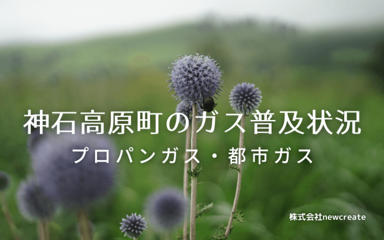 神石高原町のプロパンガスと都市ガス普及状況