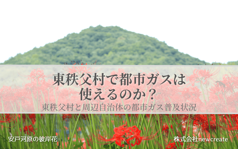 東秩父村で都市ガスは使えるのか