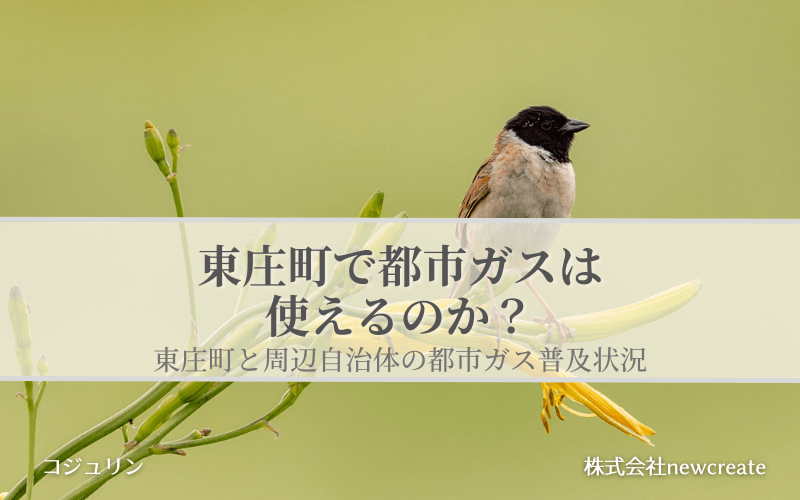 東庄町で都市ガスは使えるのか？