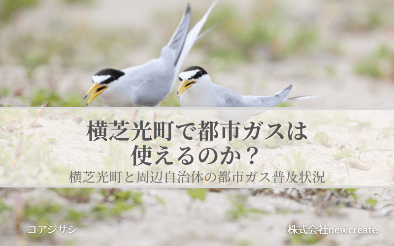 横芝光町で都市ガスは使えるのか？