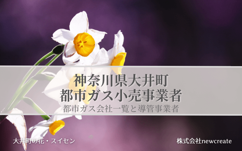 【神奈川県大井町で都市ガス会社は選べるのか？】小売り事業者一覧