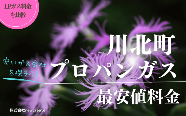 【安いガス会社を紹介】川北町のプロパンガス平均と最安値料金