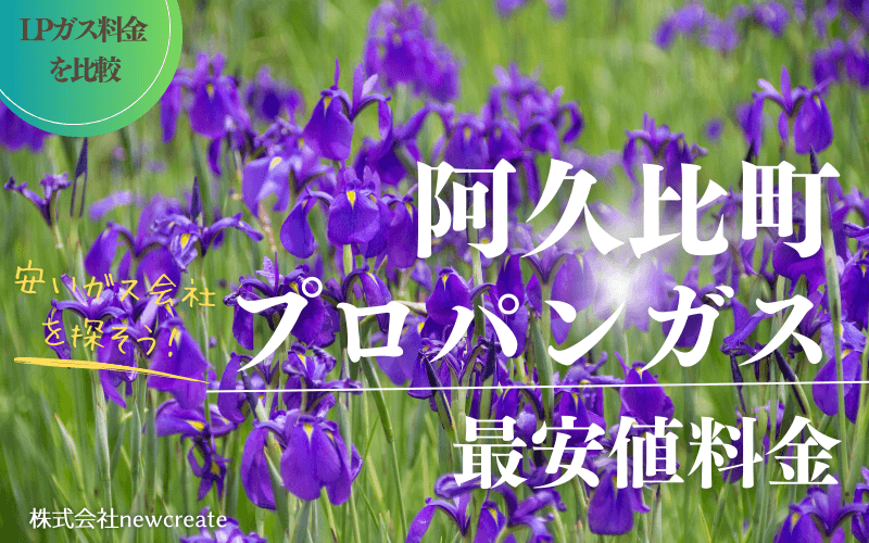 阿久比町のプロパンガス平均価格と最安値料金
