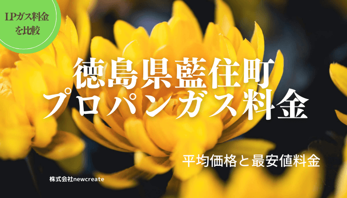 徳島県板野郡藍住町のプロパンガス平均価格と最安値料金