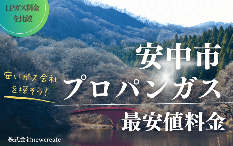 安中市のプロパンガス料金