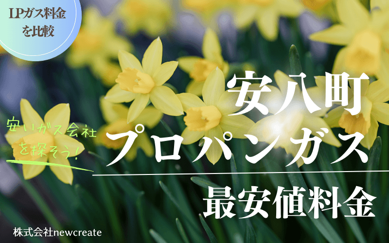 安八町のプロパンガス平均価格と最安値料金