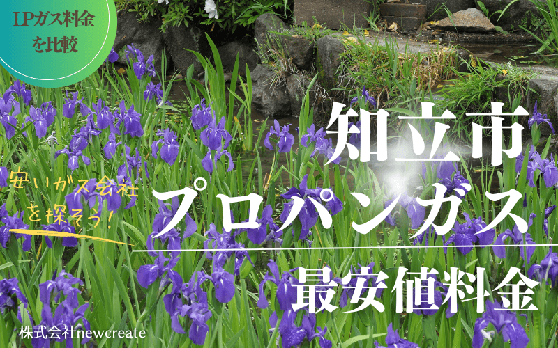 知立市のプロパンガス平均価格と最安値料金