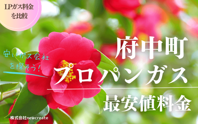 広島県府中町のプロパンガス平均価格と最安値料金【安い会社を探す】