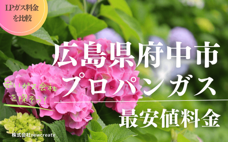 広島県府中市のプロパンガス平均価格と最安値料金【安い会社を探す】