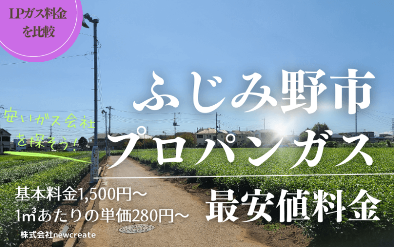 ふじみ野市のプロパンガス平均価格と最安値料金