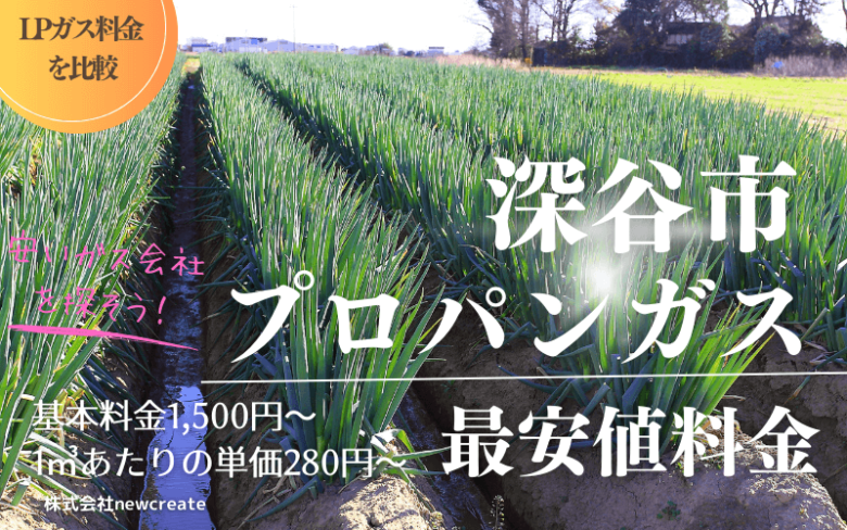 深谷市のプロパンガス平均価格と最安値料金