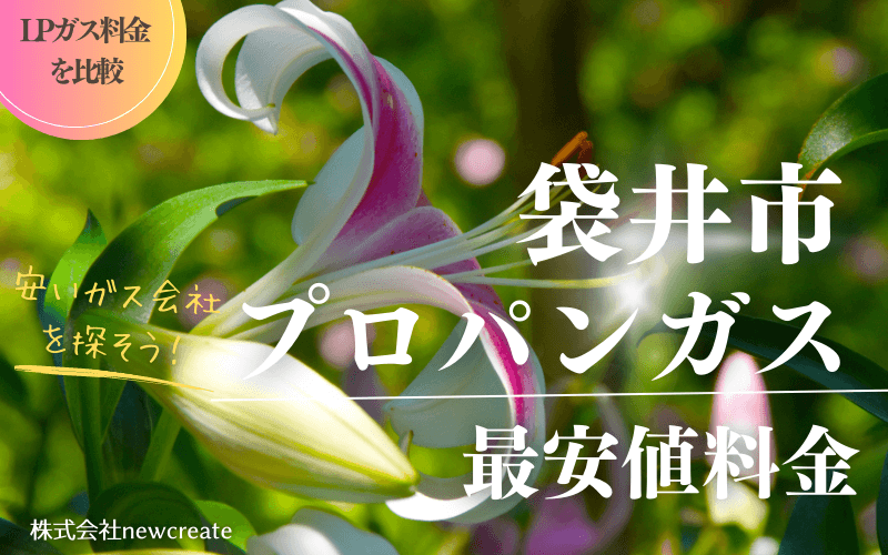 袋井市のプロパンガス平均価格と最安値料金