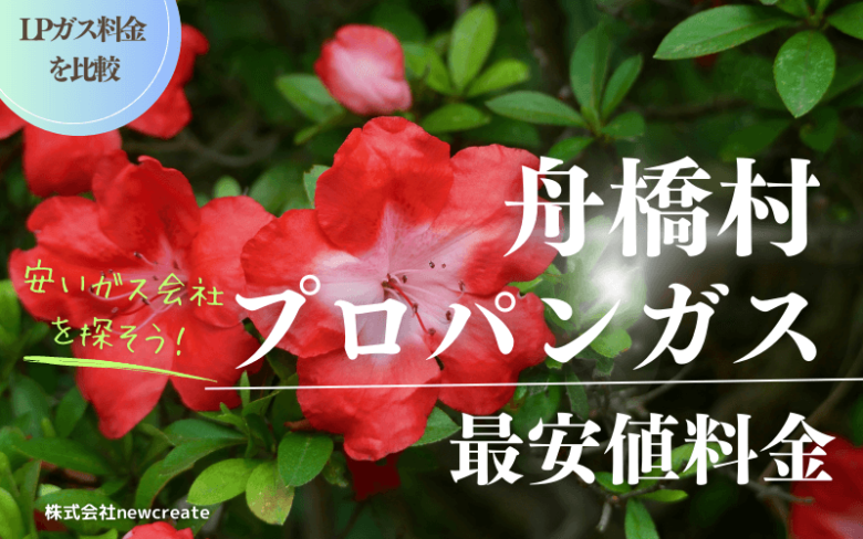 舟橋村のプロパンガス平均価格と最安値料金【安い会社を探す】