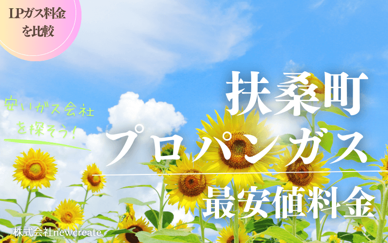 扶桑町のプロパンガス平均価格と最安値料金