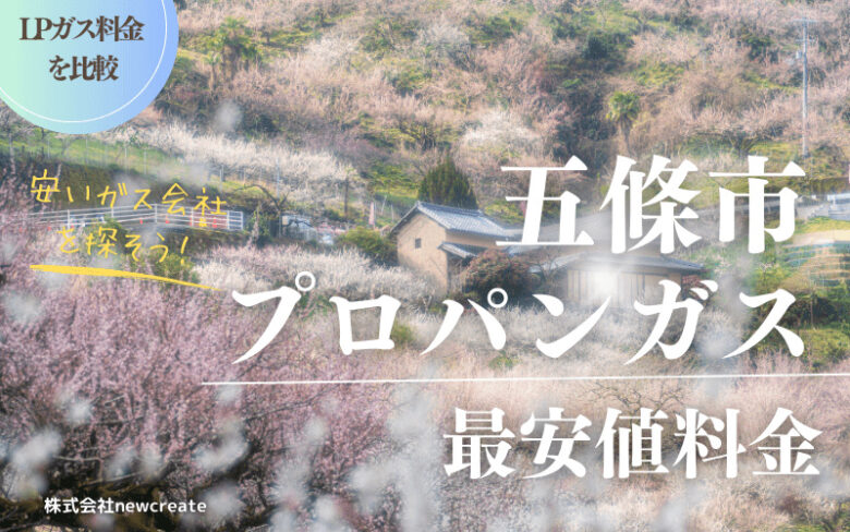 五條市のプロパンガス平均価格と最安値料金【安い会社を探す】