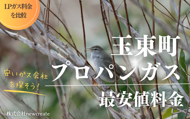 玉東町のプロパンガス平均価格と最安値料金