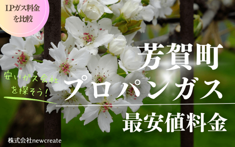 芳賀町のプロパンガス平均価格と最安値料金