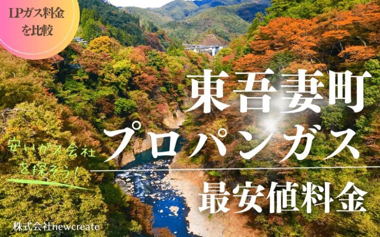 東吾妻町のプロパンガス料金