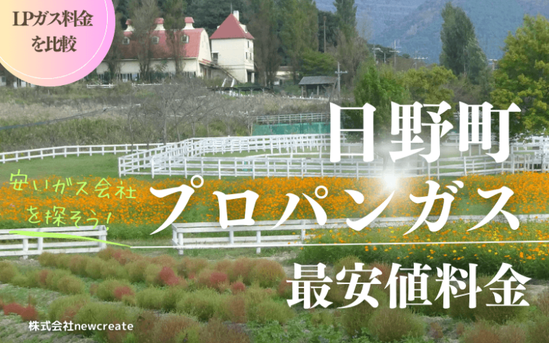 滋賀県日野町のプロパンガス平均価格と最安値料金