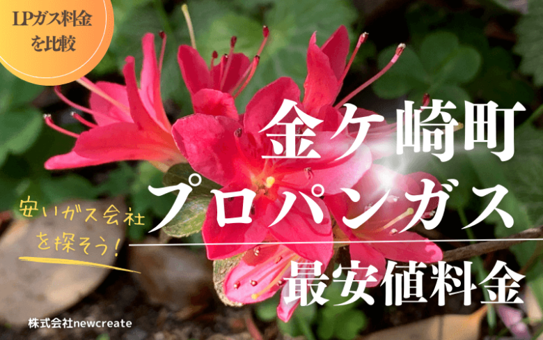 岩手県金ケ崎町のプロパンガス平均価格と最安値料金