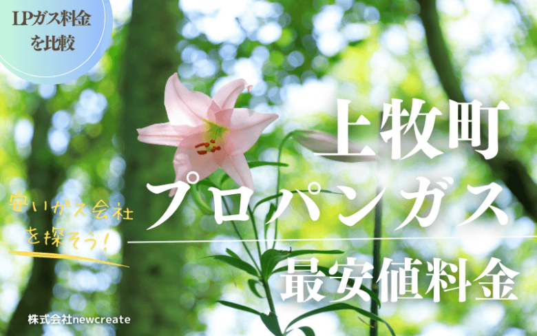 上牧町のプロパンガス平均価格と最安値料金【安い会社を探す】
