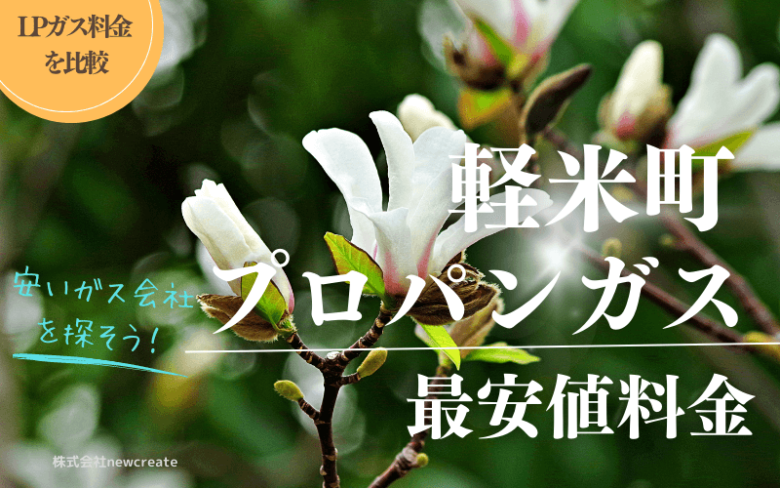 岩手県九戸郡軽米町のプロパンガス平均価格と最安値料金