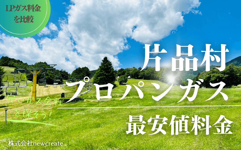 片品村のプロパンガス平均価格と最安値料金