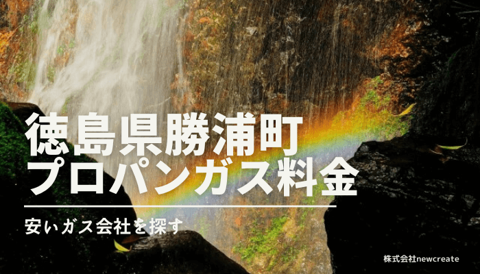 徳島県勝浦郡勝浦町のプロパンガス平均価格と最安値料金