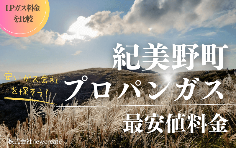 紀美野町のプロパンガス平均価格と最安値料金