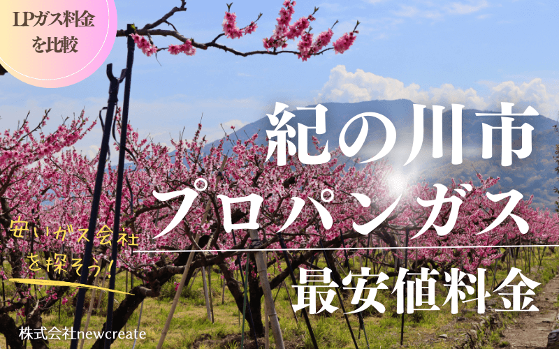 紀の川市のプロパンガス平均価格と最安値料金