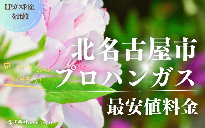 北名古屋市のプロパンガス平均価格と最安値料金