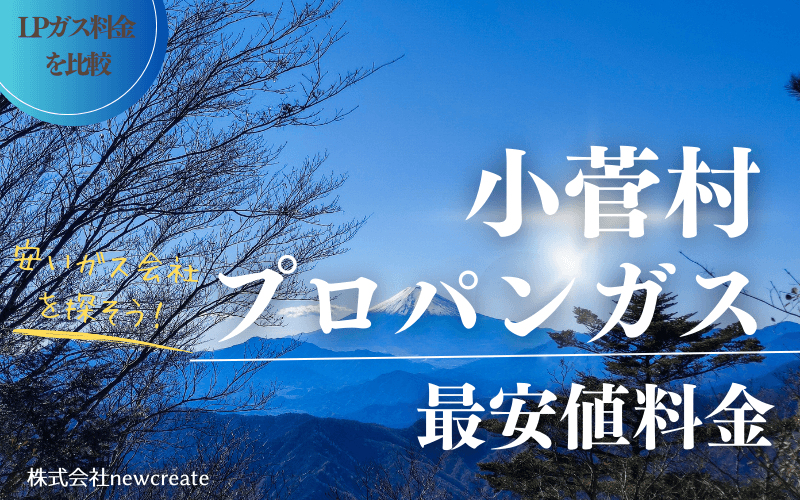 小菅村のプロパンガス平均価格と最安値料金