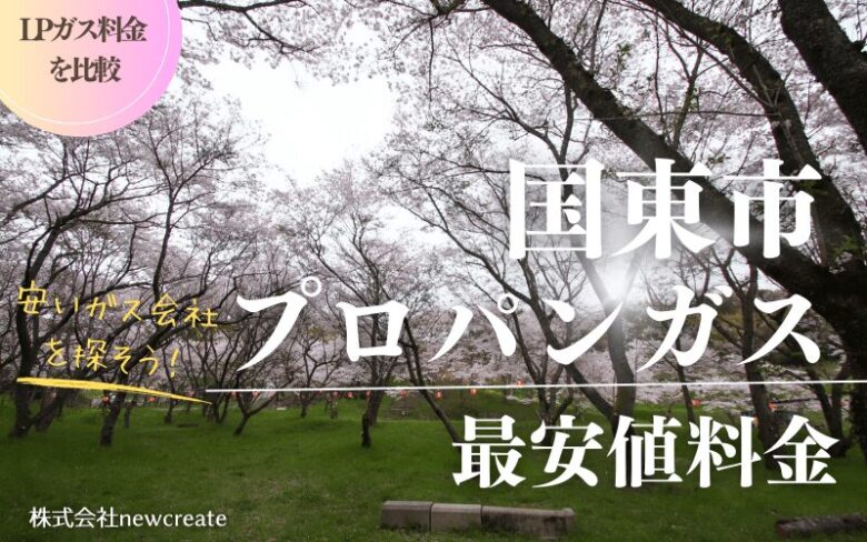 国東市のプロパンガス平均価格と最安値料金