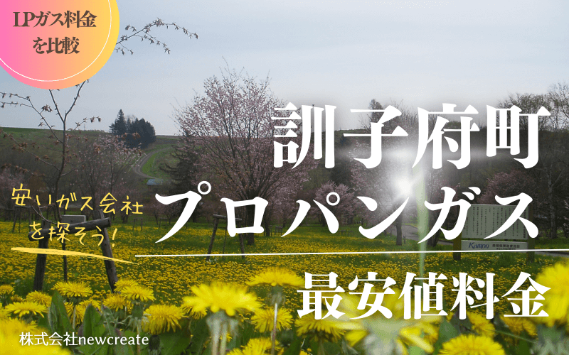 訓子府町のプロパンガス平均価格と最安値料金