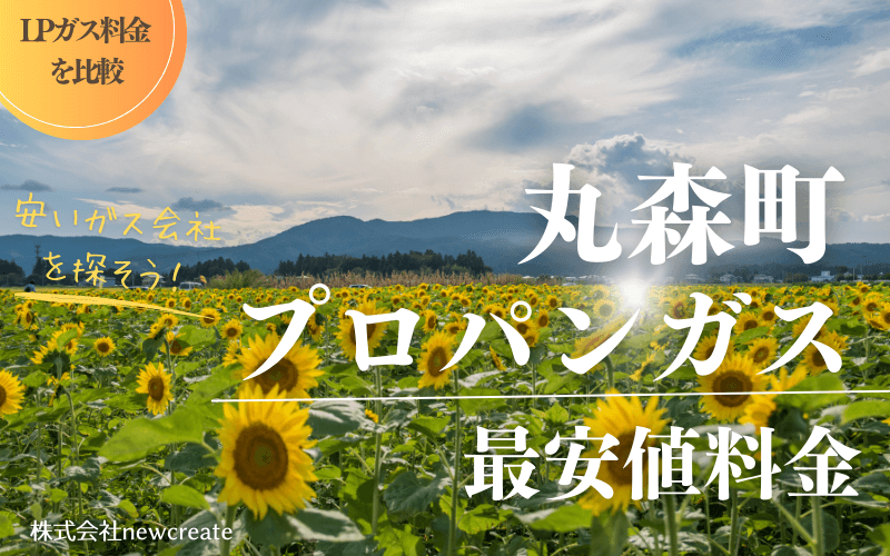 丸森町のプロパンガス平均価格と最安値料金