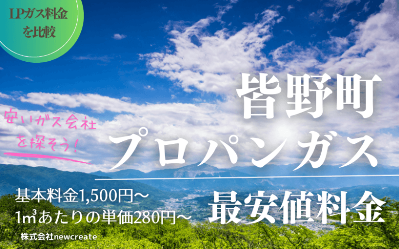 秩父郡皆野町のプロパンガス平均価格と最安値料金