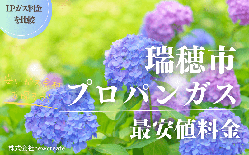 瑞穂市のプロパンガス平均価格と最安値料金