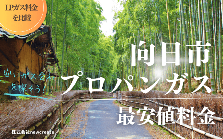 向日市のプロパンガス平均価格と最安値料金