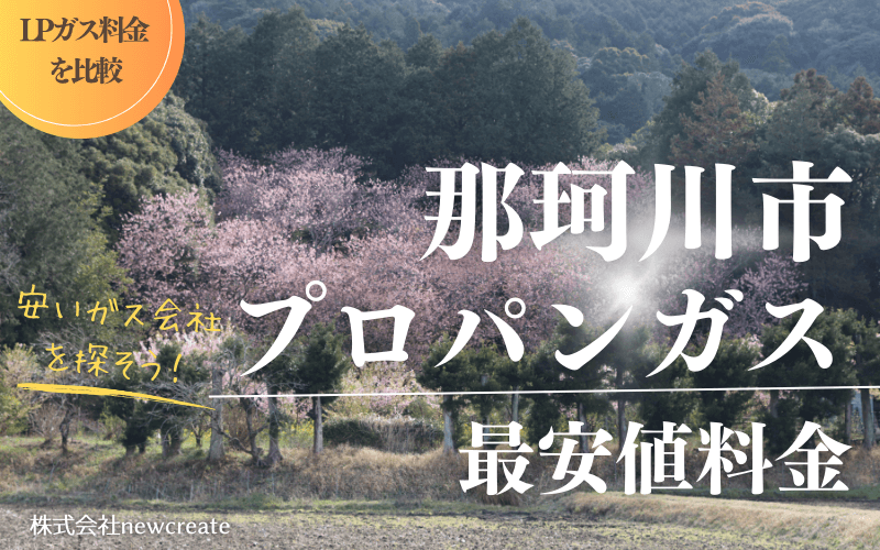 那珂川市のプロパンガス平均価格と最安値料金