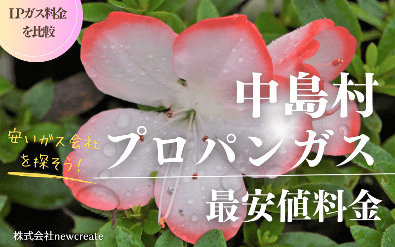 中島村のプロパンガス最安値料金