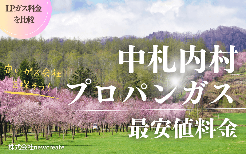 中札内村のプロパンガス平均価格と最安値料金