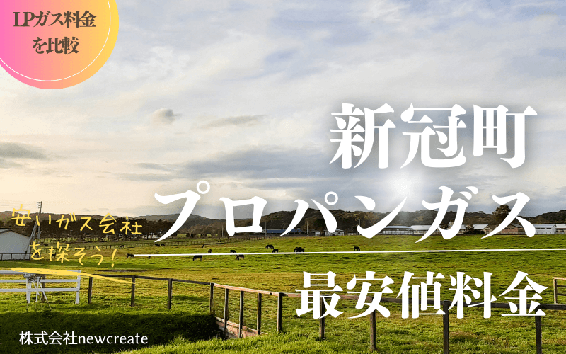 新冠町のプロパンガス平均価格と最安値料金