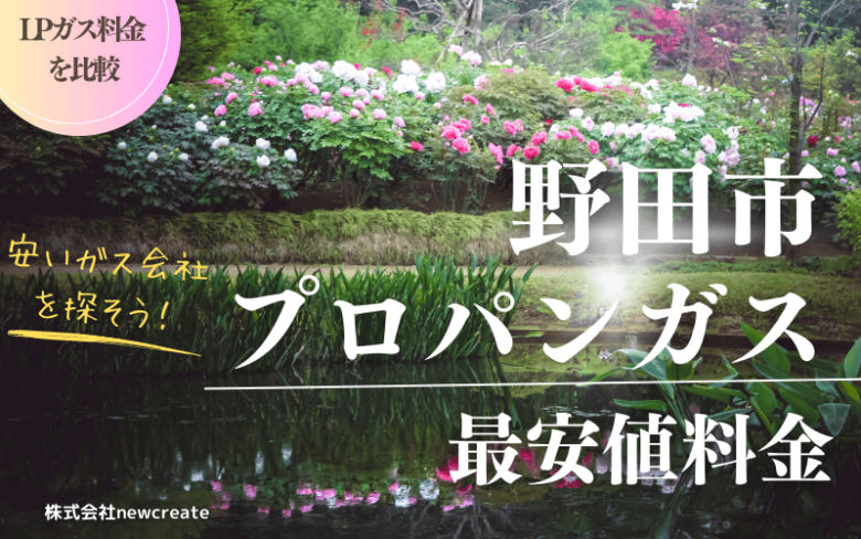 野田市のプロパンガス平均価格と最安値料金