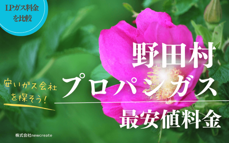 岩手県九戸郡野田村のプロパンガス平均価格と最安値料金