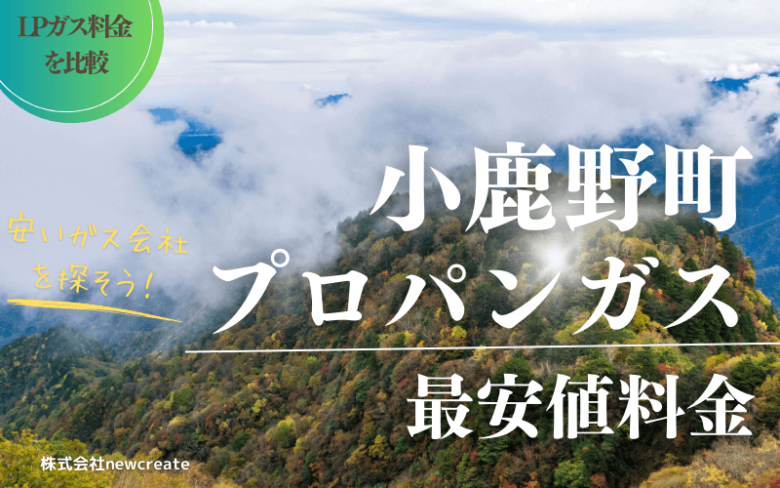 小鹿野町のプロパンガス平均価格と最安値料金