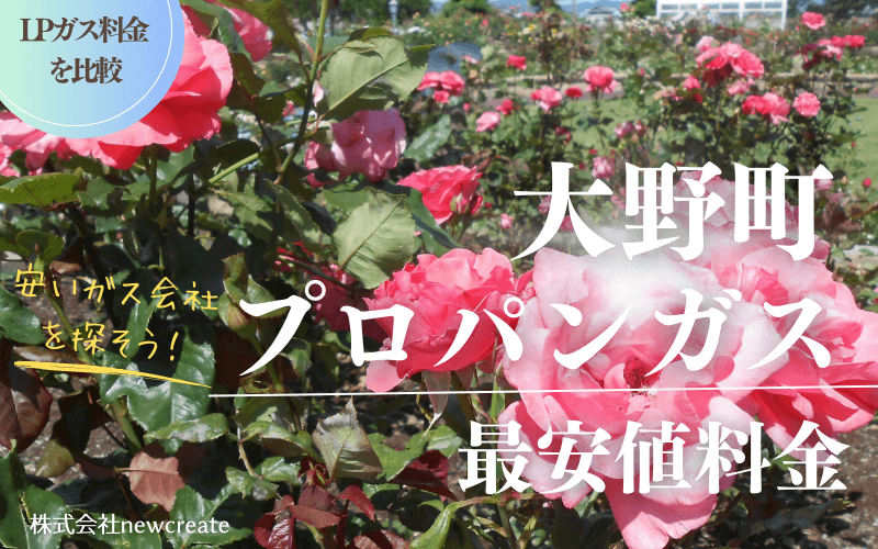 岐阜県大野町のプロパンガス平均価格と最安値料金