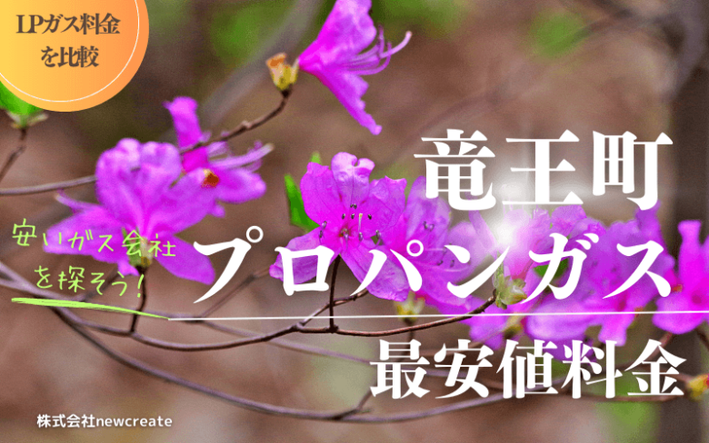 滋賀県竜王町のプロパンガス平均価格と最安値料金