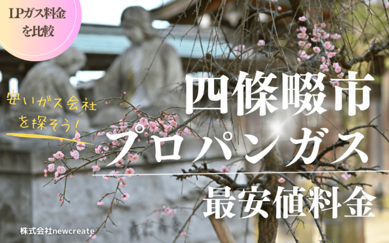 四條畷市のプロパンガス料金