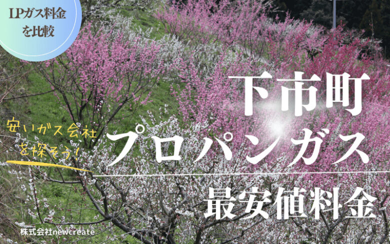 下市町のプロパンガス平均価格と最安値料金【安い会社を探す】