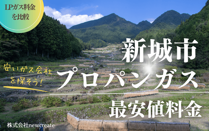 新城市のプロパンガス平均価格と最安値料金
